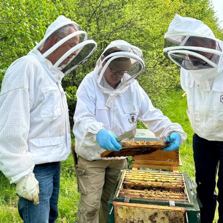 Bild von Andreas Neumann auf Pixabay